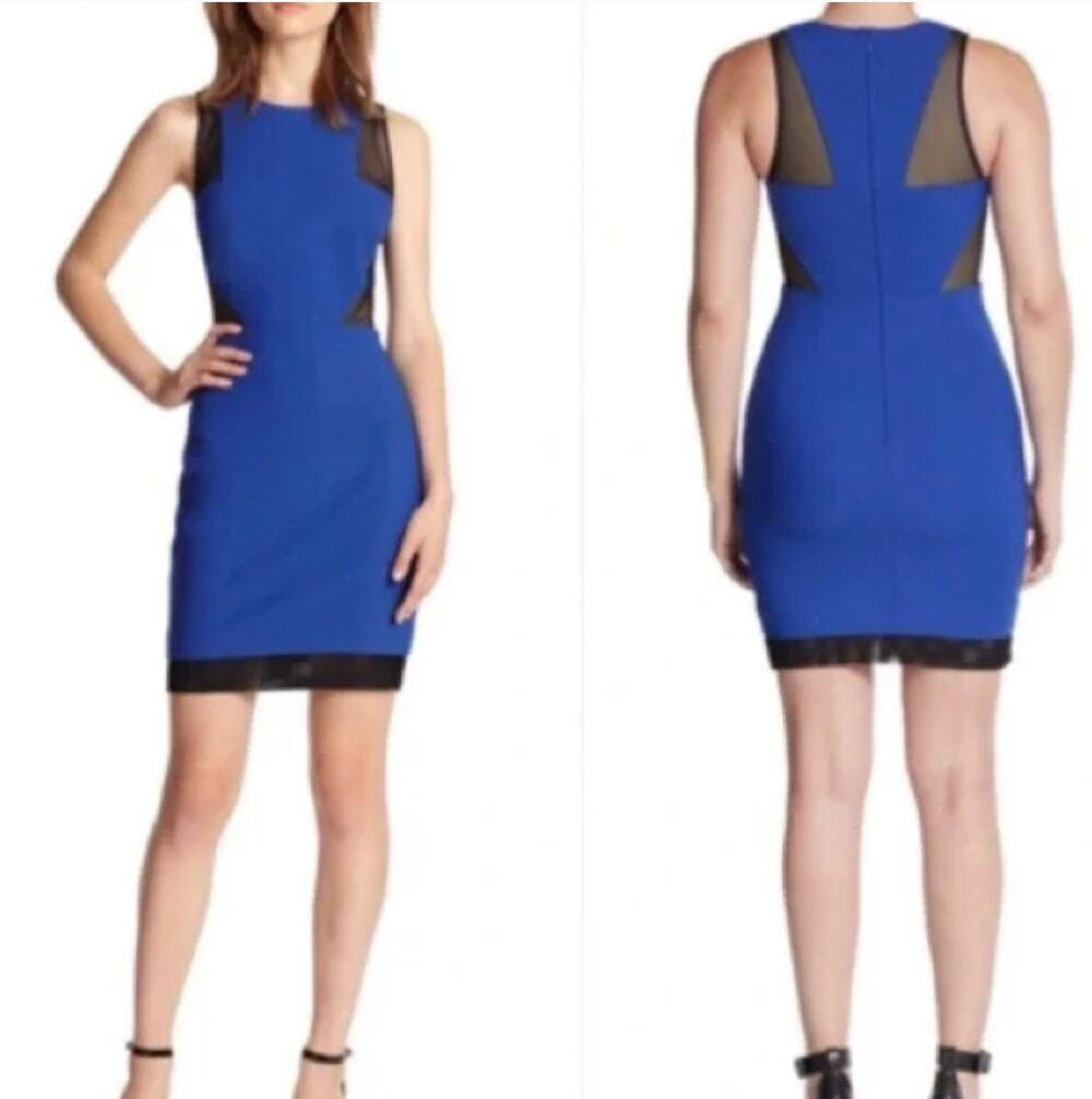 Elizabeth And James Johanna Black Mesh Dress 0